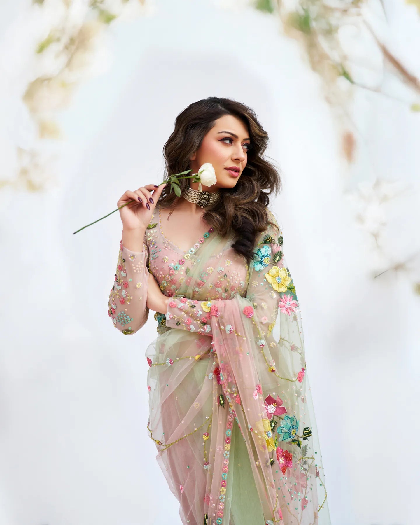Hansika Motwani In Rose Garden Saree