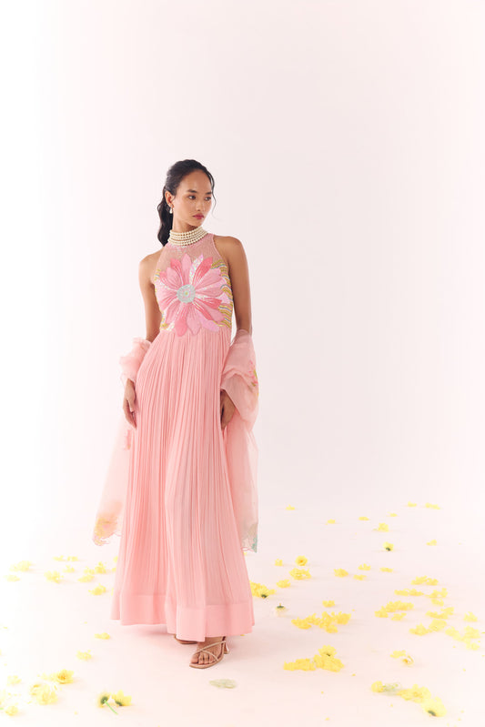 Love in Bloom Anarkali Set